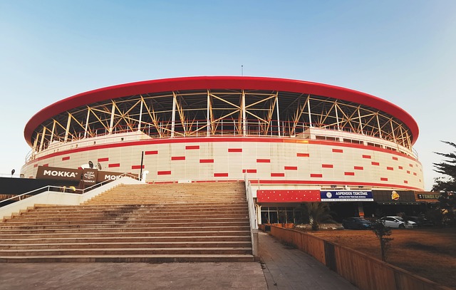 贝尔纳多 贝尔纳多