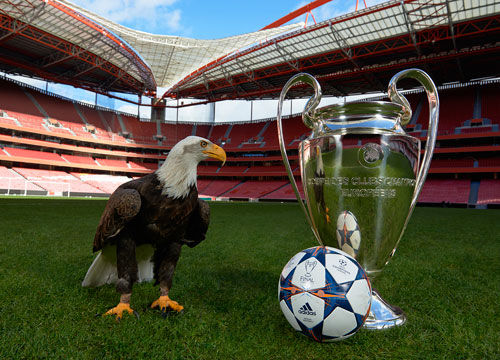 现出积极向 现出积极向