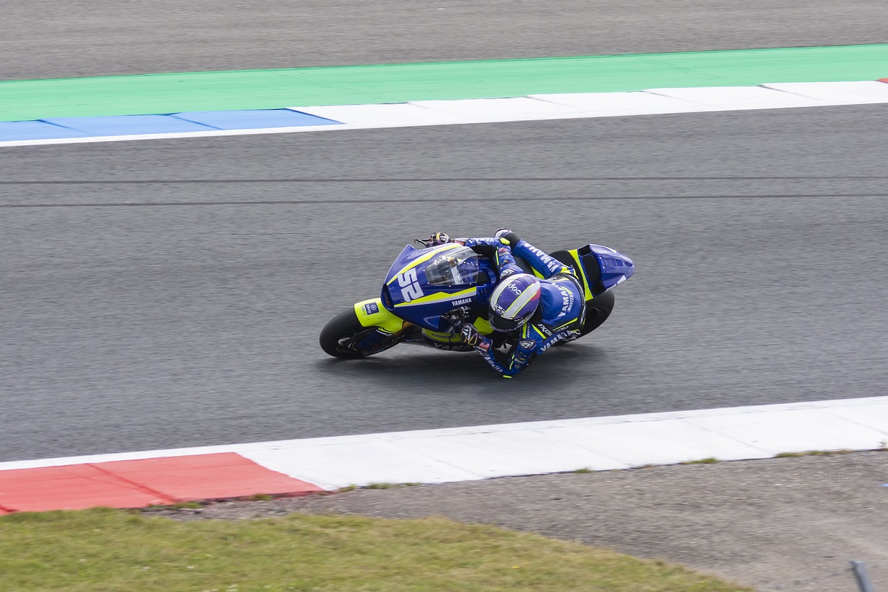 粉丝与媒体 粉丝与媒体