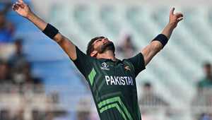 在竞争愈加 在竞争愈加