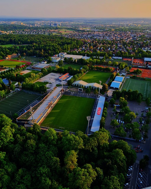 间和策略 间和策略