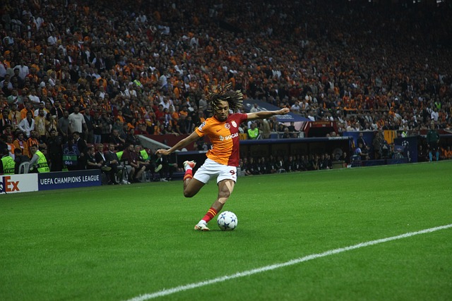 是否引进阿 是否引进阿