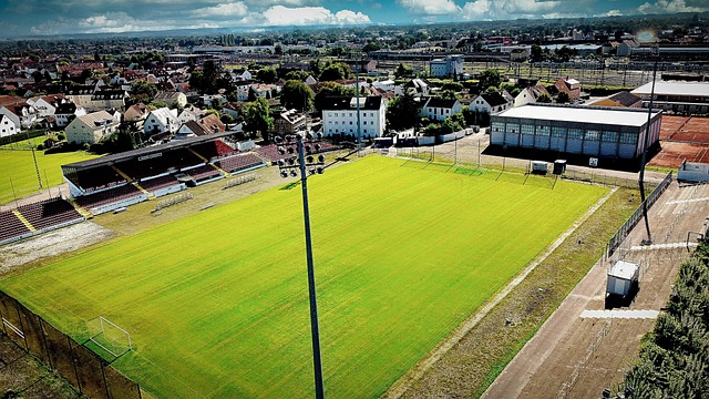 队在追求成 队在追求成