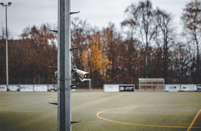 替补球员上 替补球员上