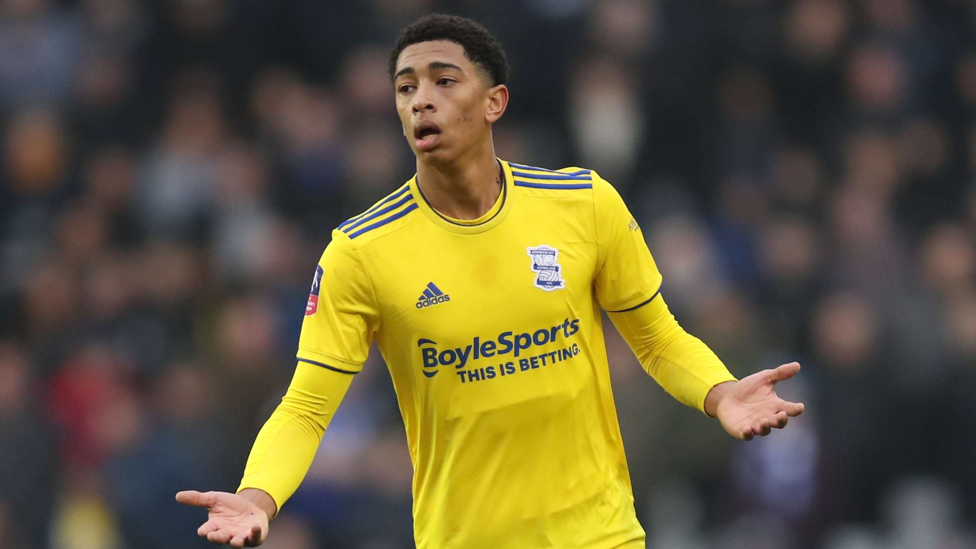 利马即将回 利马即将回