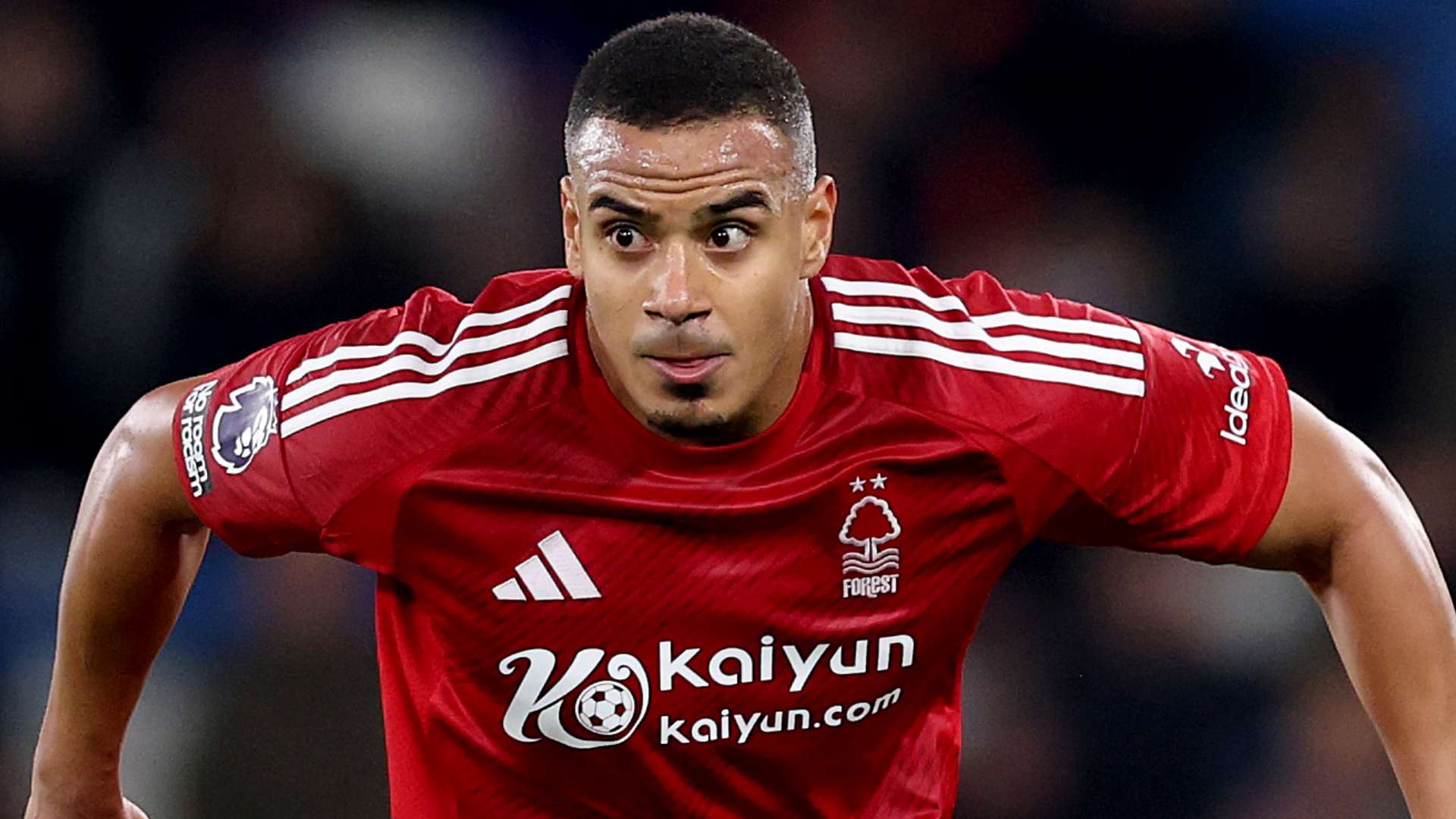 逆转的一大 逆转的一大