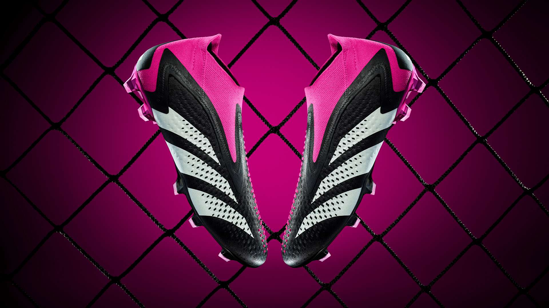 如泰山的奧 如泰山的奧