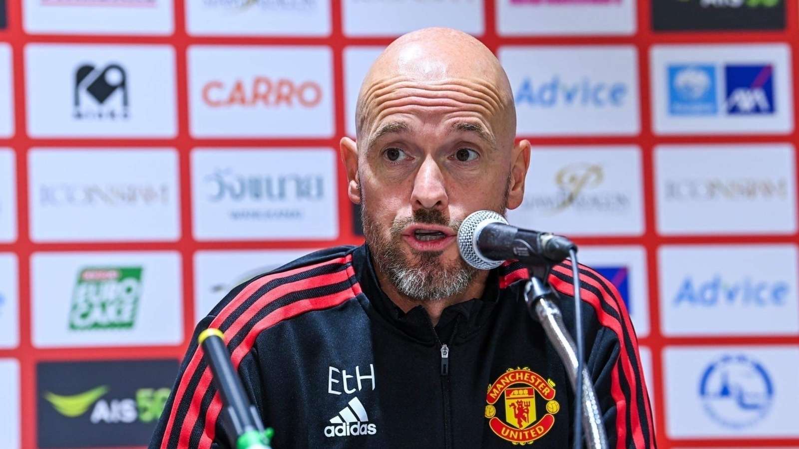 而现在他们 而现在他们